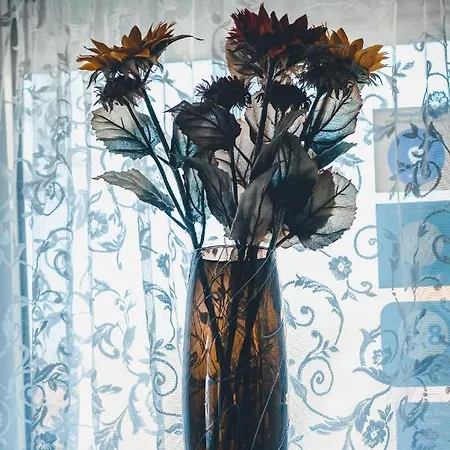 Mayerhofer House Appartamento *