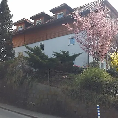 Mayerhofer House *