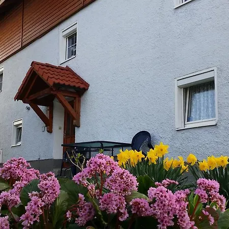 Mayerhofer House