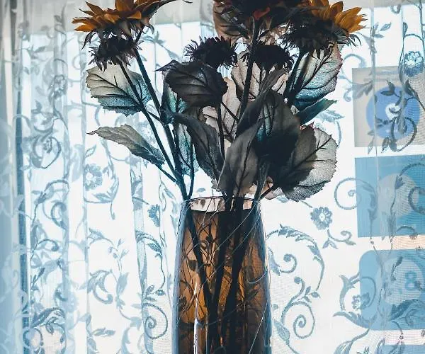 Mayerhofer House شقة *