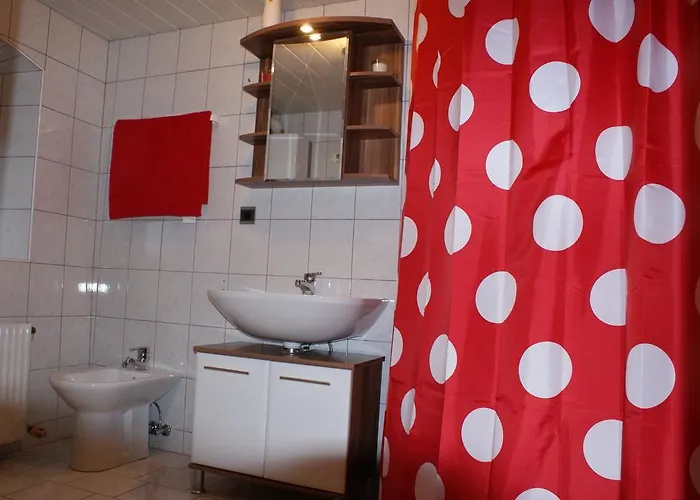 Mayerhofer House * لينتز