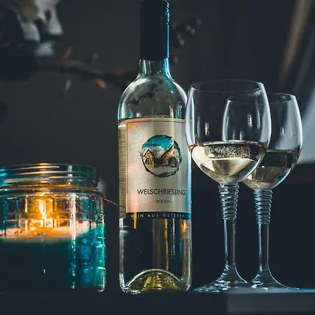 アパート Mayerhofer House リンツ